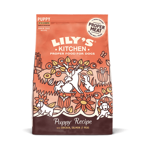 Lily's Kitchen: A Trusted Name in Premium Pet Nutrition - Pets Villa