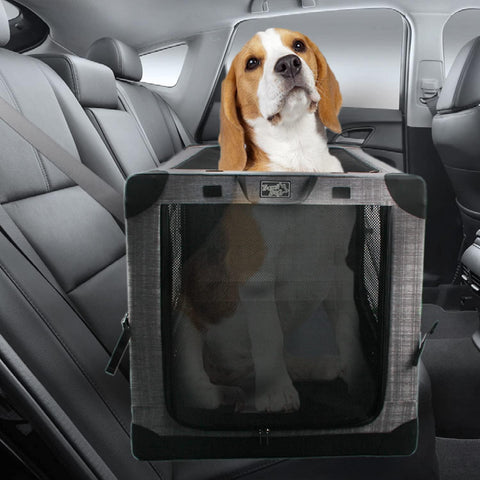 The Complete Guide to Pet Backpacks: How to Take Your Furry Friend - Pets Villa