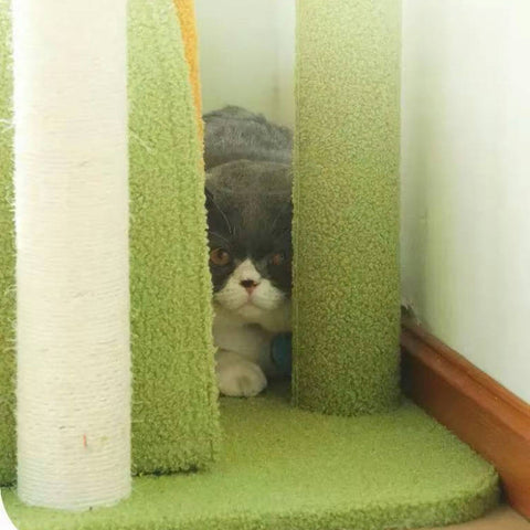 MARTINA Plant Style Cat Climbing Tree - product image. This is a product of Pets Villa.