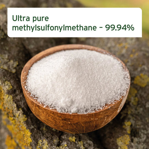 Bowl image of ANIFORTE MSM Powder for Cats and Dogs 300g - Pets Villa.