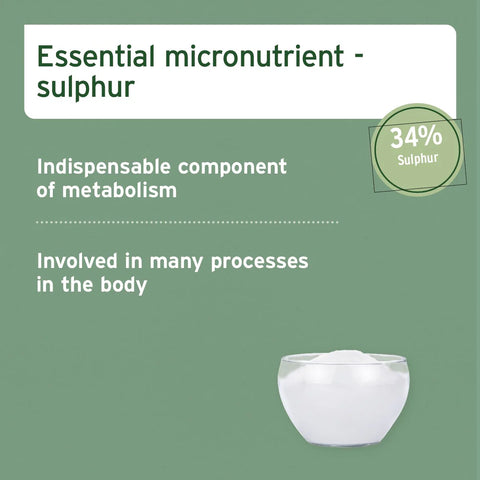Image of the micronutrients of ANIFORTE MSM Powder for Cats and Dogs 300g - Pets Villa.
