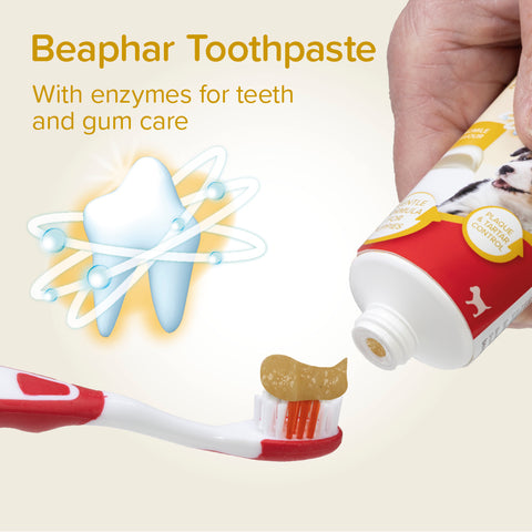 Image of the toothpaste of Beaphar Puppy Dental Kit - Pets Villa.
