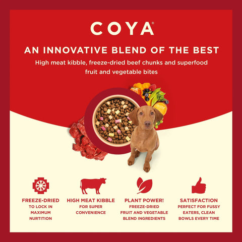 Image of additional information for COYA Kibble Plus Beef Adult Dog Food - Pets Villa.