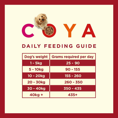 Image of the feeding guide of COYA Kibble Plus Beef Adult Dog Food - Pets Villa.