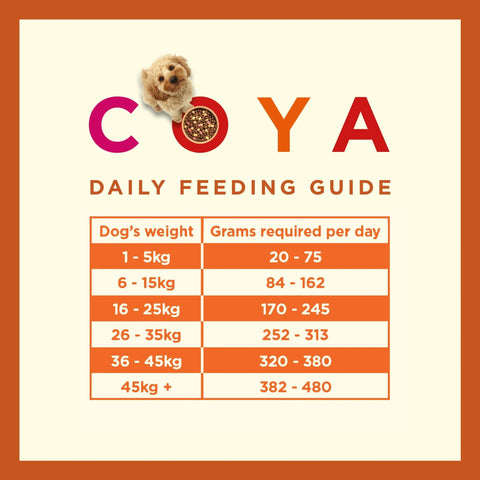 Image of the feeding guide of COYA Kibble Plus Turkey Adult Dog Food - Pets Villa.