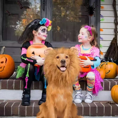 Halloween background with Halloween Lion Mane Dog Costume - Pets Villa.