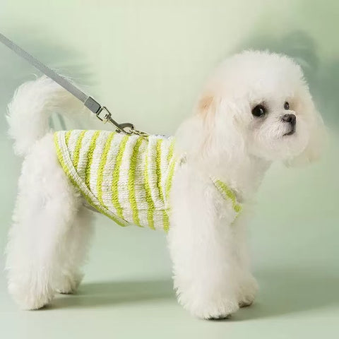 Side image of a dog wearing the green variant of Hello Baby Striped Pet Vest - Pets Villa.