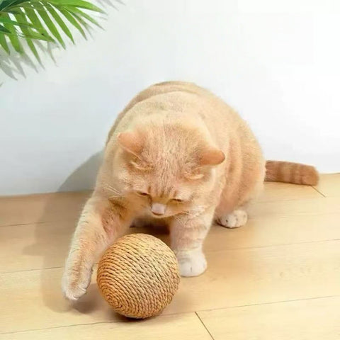 Image of a ginger cat playing with Large Sisal Cat Ball Assorted - Pets Villa.