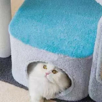 Image of a cat inside the house of MARTINA Grey Feather with Scratcher Board Cat Tower 100cm - Pets Villa.
