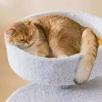 Image of cat on perch of MARTINA Grey Feather with Scratcher Board Cat Tower 100cm - Pets Villa.