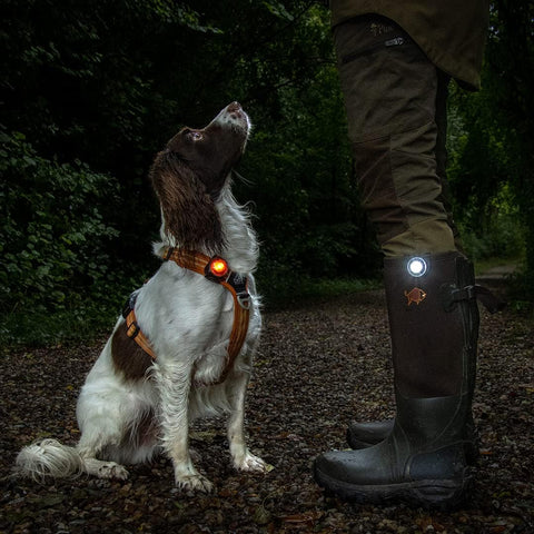 Image of a dog and human wearing ORBIC Dog Dual Safety Light - Pets Villa.
