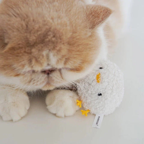 Image of a cat playing with PURROOM Little Chick Matatabi Stick Cat Toy - Pets Villa.