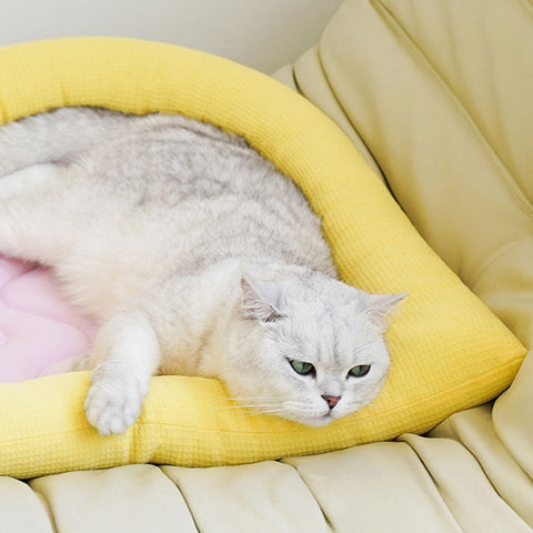 Image of a cat resting on ZEZE Coolism Toast Pet Cooling Mat - Pets Villa.