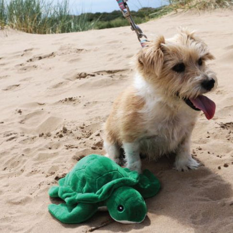 Eco-Friendly ANCOL Made From Turtle Dog Toy – Soft, Squeaky & Sustainable