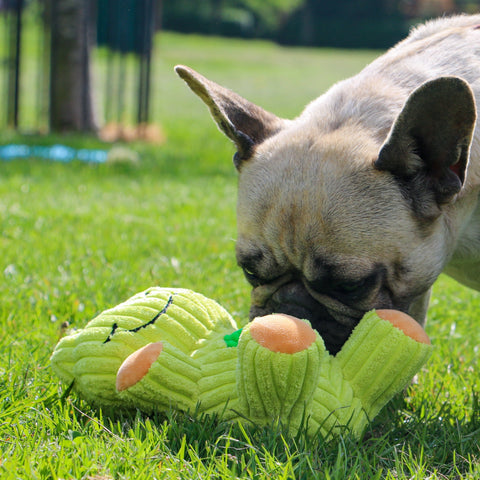 ANCOL Orva Treat Ball Belly Frog – Interactive Dog Toy with Treat Dispenser and Squeaker, 25cm