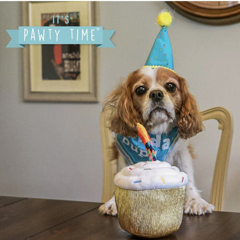 ANCOL Pawty Cupcake Dog Toy – Birthday-themed squeaky toy with rope candle, 14cm tall
