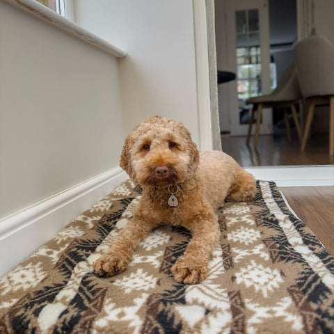 ANCOL Sleepy Paws Self Heating Pad Aztec Brown - Pets Villa