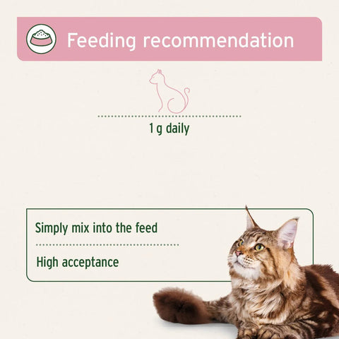 ANIFORTE 4in1 Complete for Cats 60g - Pets Villa