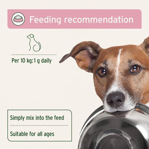 ANIFORTE Bladder Formula Powder 100g For Incontence in Dogs - Pets Villa