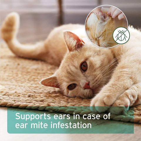 ANIFORTE Ear Mite Treatment Oil Drops - Pets Villa