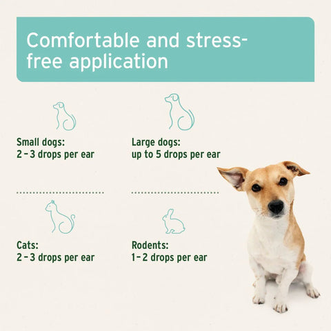 ANIFORTE Ear Mite Treatment Oil Drops - Pets Villa