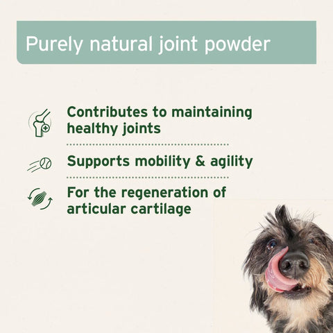 ANIFORTE Green Lipped Mussel Powder for Dogs and Cats - Joint Support Supplement - Pets Villa