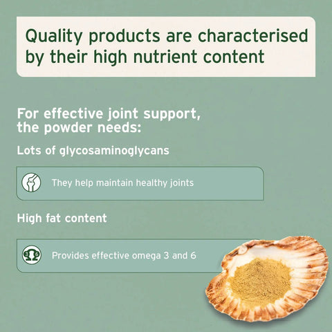 ANIFORTE Green Lipped Mussel Powder for Dogs and Cats - Joint Support Supplement - Pets Villa