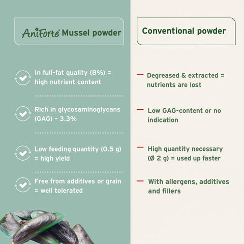 ANIFORTE Green Lipped Mussel Powder for Dogs and Cats - Joint Support Supplement - Pets Villa
