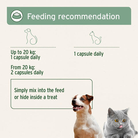 ANIFORTE Salmon Oil 200 Capsules for Dogs & Cats - Natural Omega - 3 EPA - Pets Villa