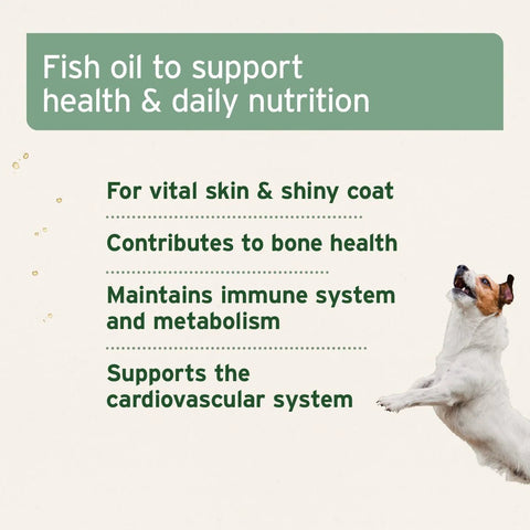 ANIFORTE Salmon Oil for Dogs & Cats - Natural Omega - 3 EPA - Pets Villa
