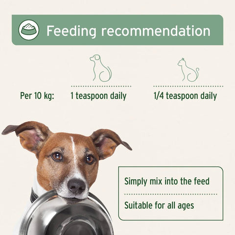 ANIFORTE Salmon Oil for Dogs & Cats - Natural Omega - 3 EPA - Pets Villa