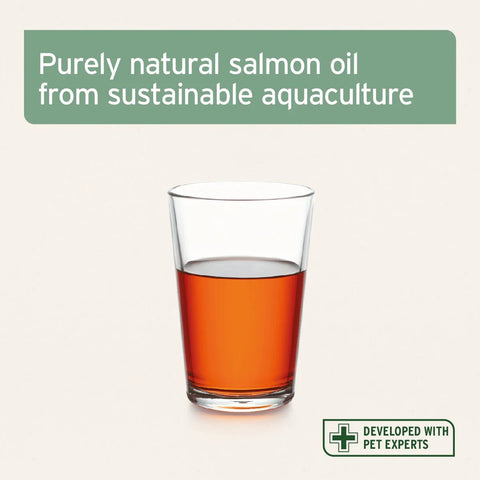ANIFORTE Salmon Oil for Dogs & Cats - Natural Omega - 3 EPA - Pets Villa