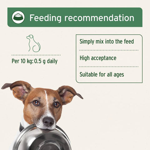 ANIFORTE Seaweed Powder For Dog - Pets Villa