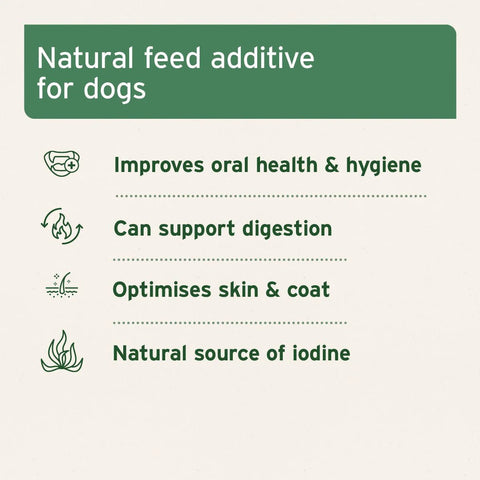 ANIFORTE Seaweed Powder For Dog - Pets Villa