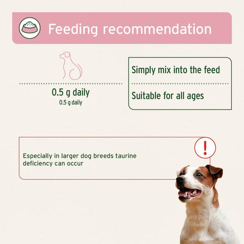 ANIFORTE Taurine Powder for Dogs - 100g - Amino Acid Supplement - Pets Villa