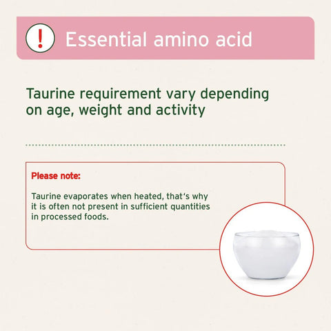 ANIFORTE Taurine Powder for Dogs - 100g - Amino Acid Supplement - Pets Villa