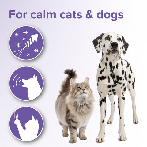BEAPHAR Calming Tablets for Cats and Dogs 20 Tablets - Pets Villa