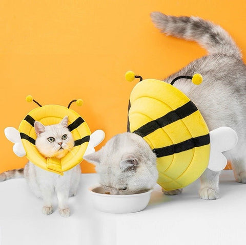 Bee Design Pet Elizabethan collar - Pets Villa