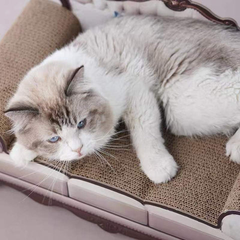 Deluxe Sofa Cat Scratcher - Pets Villa