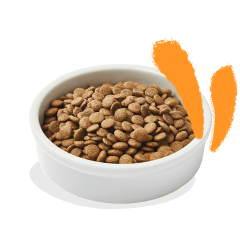 EDGARD & COOPER Cat Adult Cat Fresh Chicken Dry Food - Pets Villa