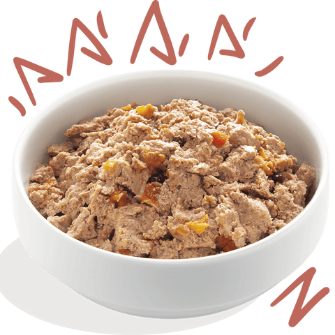 EDGARD & COOPER Senior Dog Grain - free Chicken and Salmon - Pets Villa