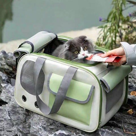 Foldable Mesh Pet Travel Bag - Pets Villa