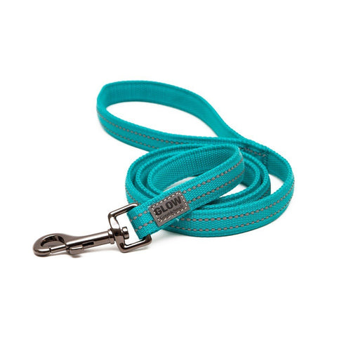 GREAT & SMALL Dog Glow Lead Turquoise - Pets Villa