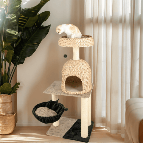 HONEYPOT CAT 135cm Cat Tree 160004 - Pets Villa