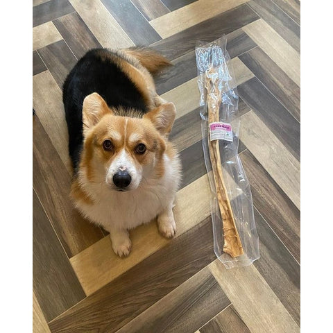 JR 75cm Beef Slice Dog Chew