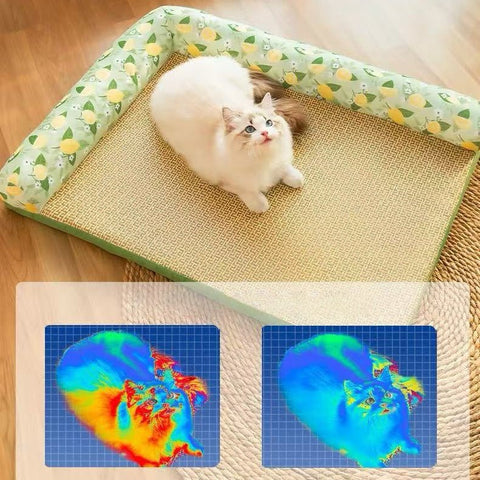 Lemon Breeze Ventilated Pet Bed - Pets Villa