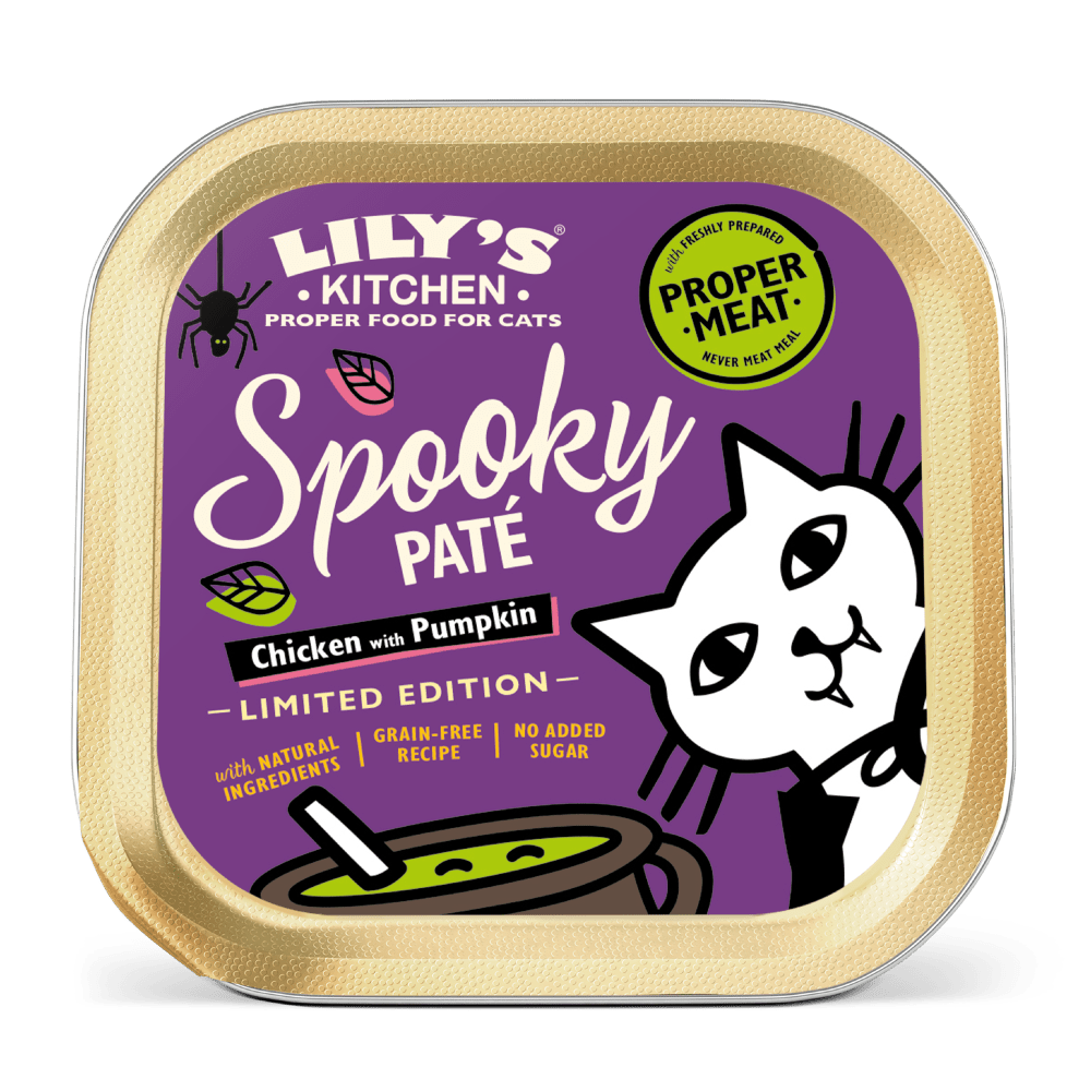 LILY'S KITCHEN Spooky Pate for Cats 85g Pets Villa