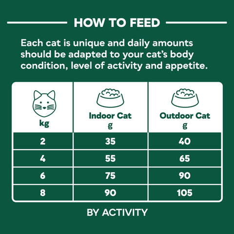 NATURES MENU Cat Dry High in Meat with Deboned White Fish Dry Food - Pets Villa