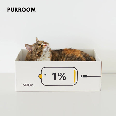 PURROOM Battery Recharge Cardboard Cat Scratcher XL - Pets Villa