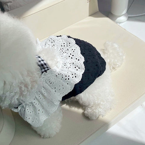 Summer Elegant Pet Outfit - Pets Villa